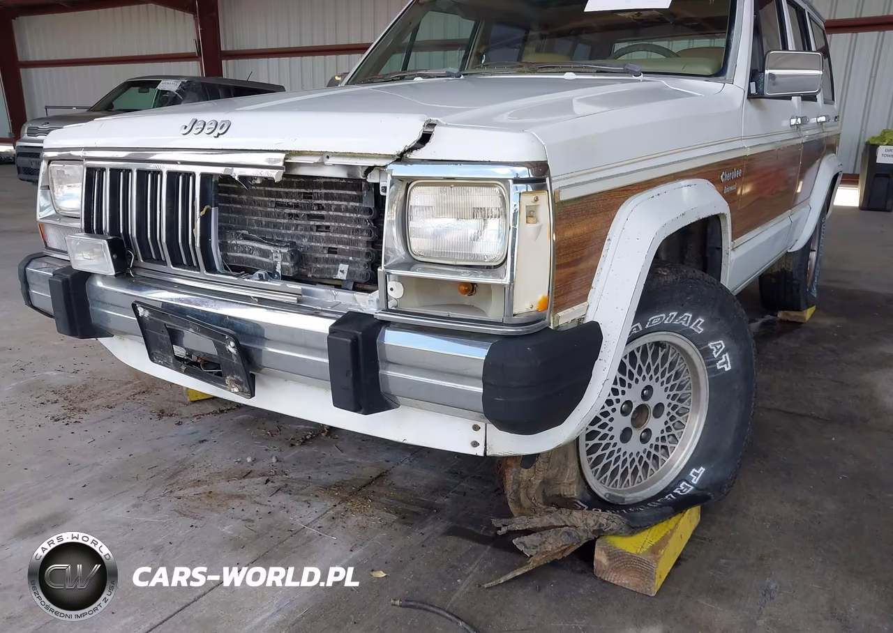 1991 Jeep Cherokee Briarwood VIN:1J4FN78S2ML505675 - 6