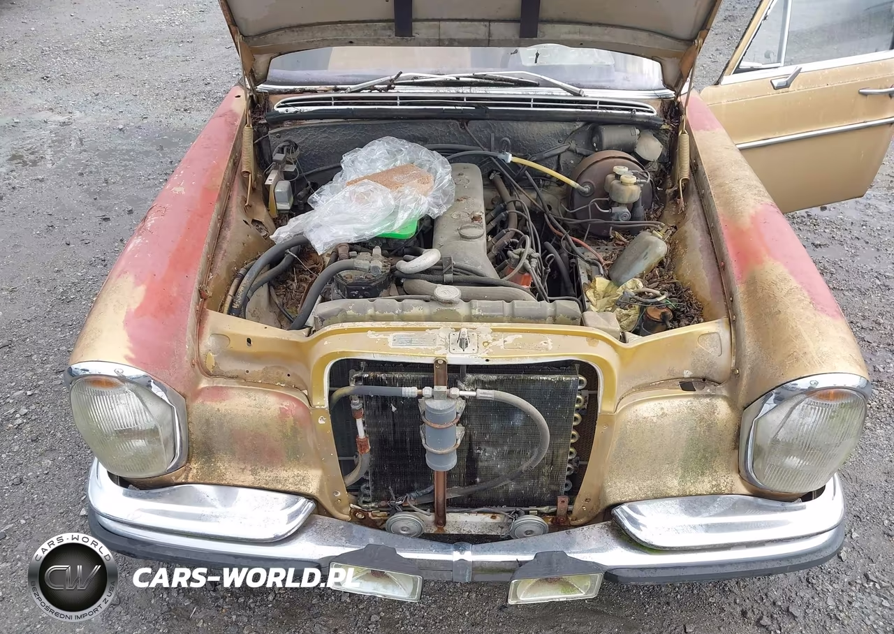 1969 Mercedes-Benz 200 VIN:10801612043541 - 10