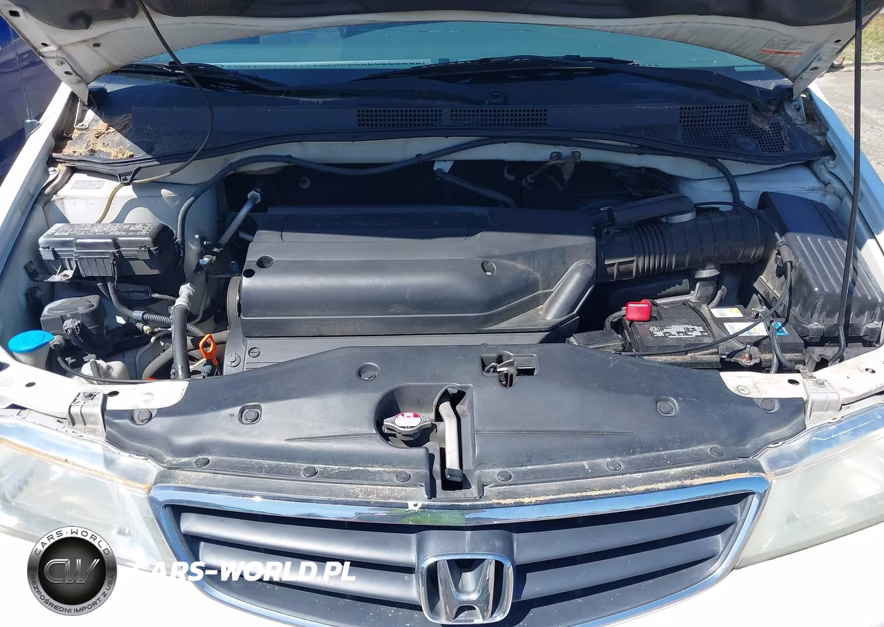 2004 Honda Odyssey Ex VIN:5FNRL18854B142723 - 10