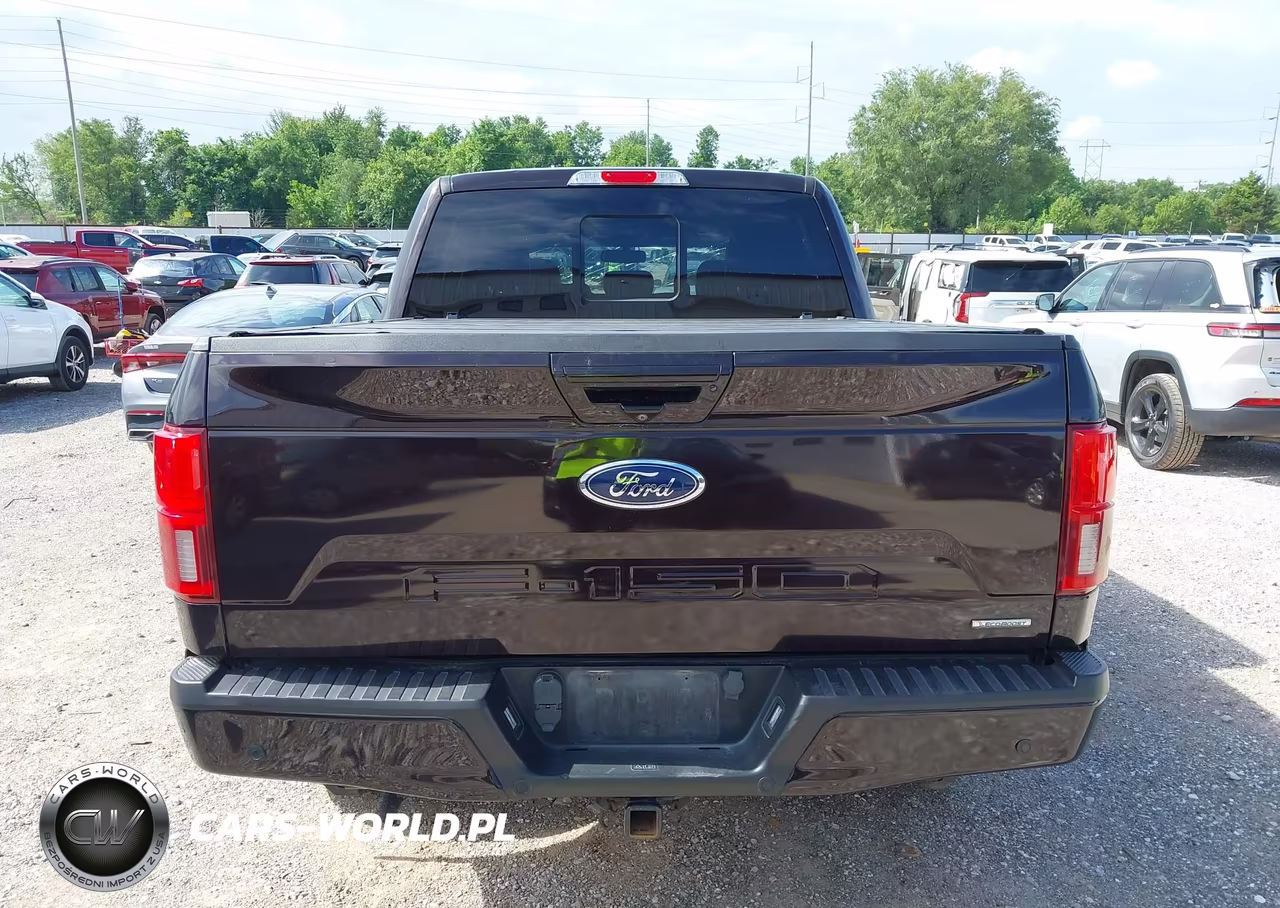 2019 Ford F-150 Lariat VIN:1FTEW1E41KFB40130 - 16