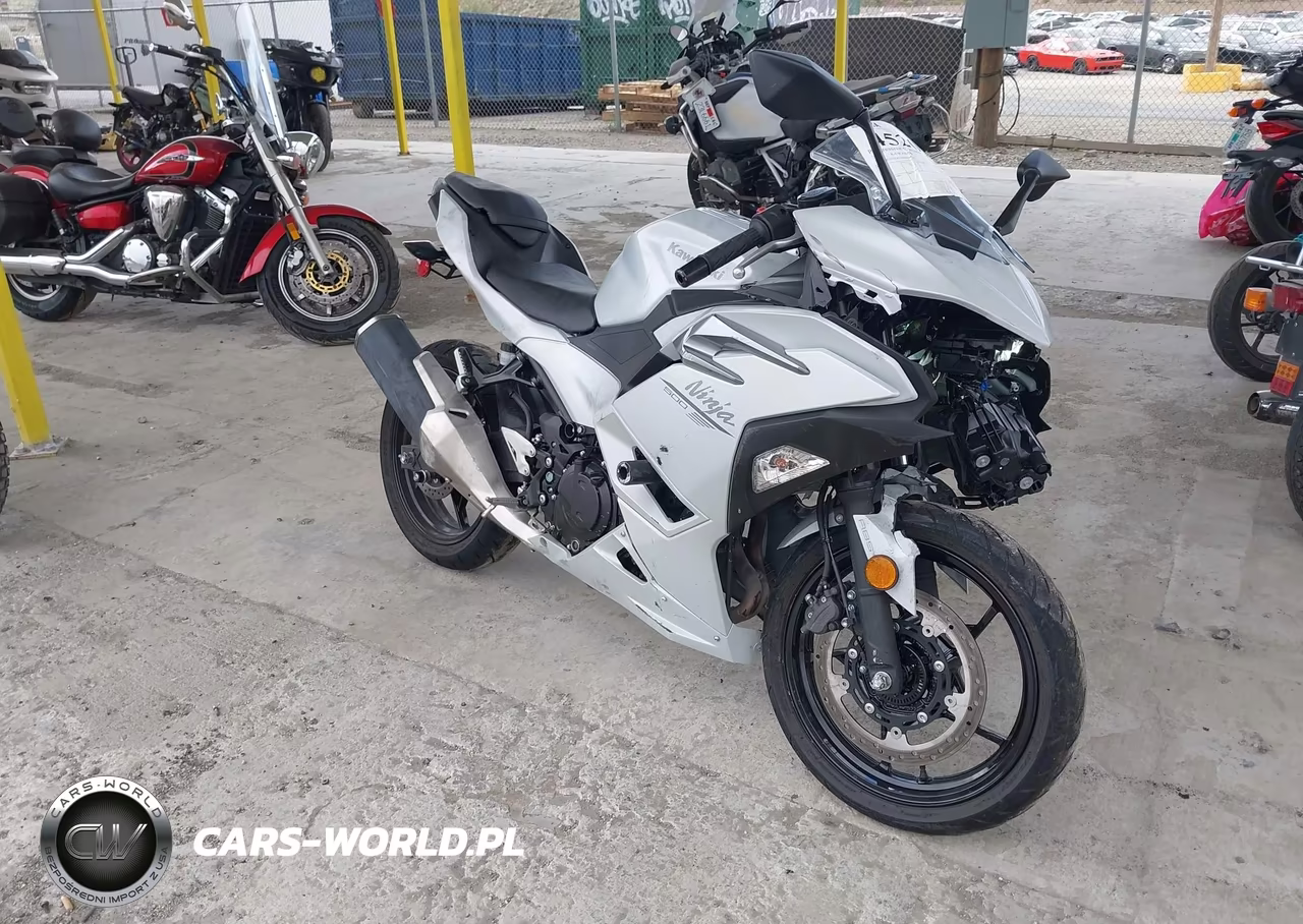 2025 Kawasaki Ex500