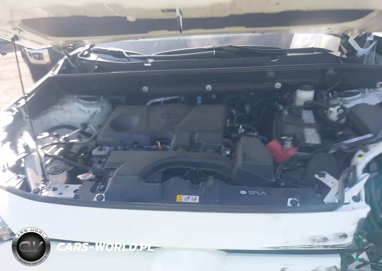2024 Toyota Rav4 Xle VIN:2T3W1RFV4RW346060 - 10