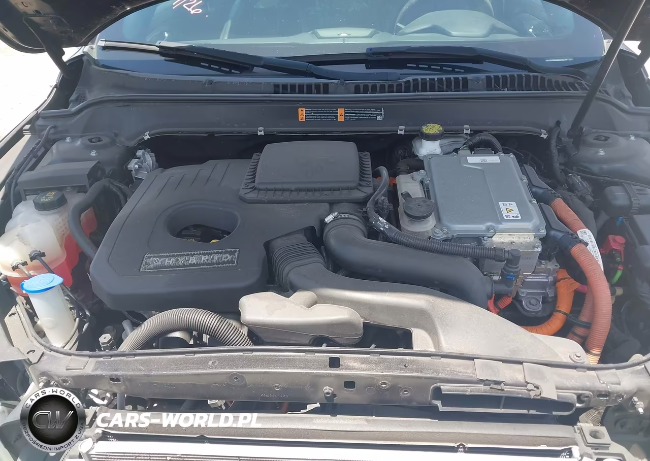 2019 Lincoln Mkz Hybrid Standard VIN:3LN6L5KU3KR618247 - 10
