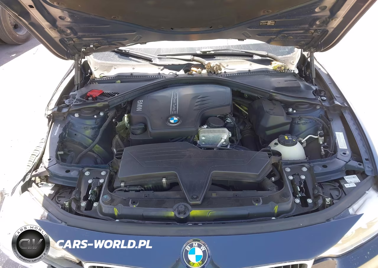 2015 BMW 428I VIN:WBA3N7C57FK222477 - 10