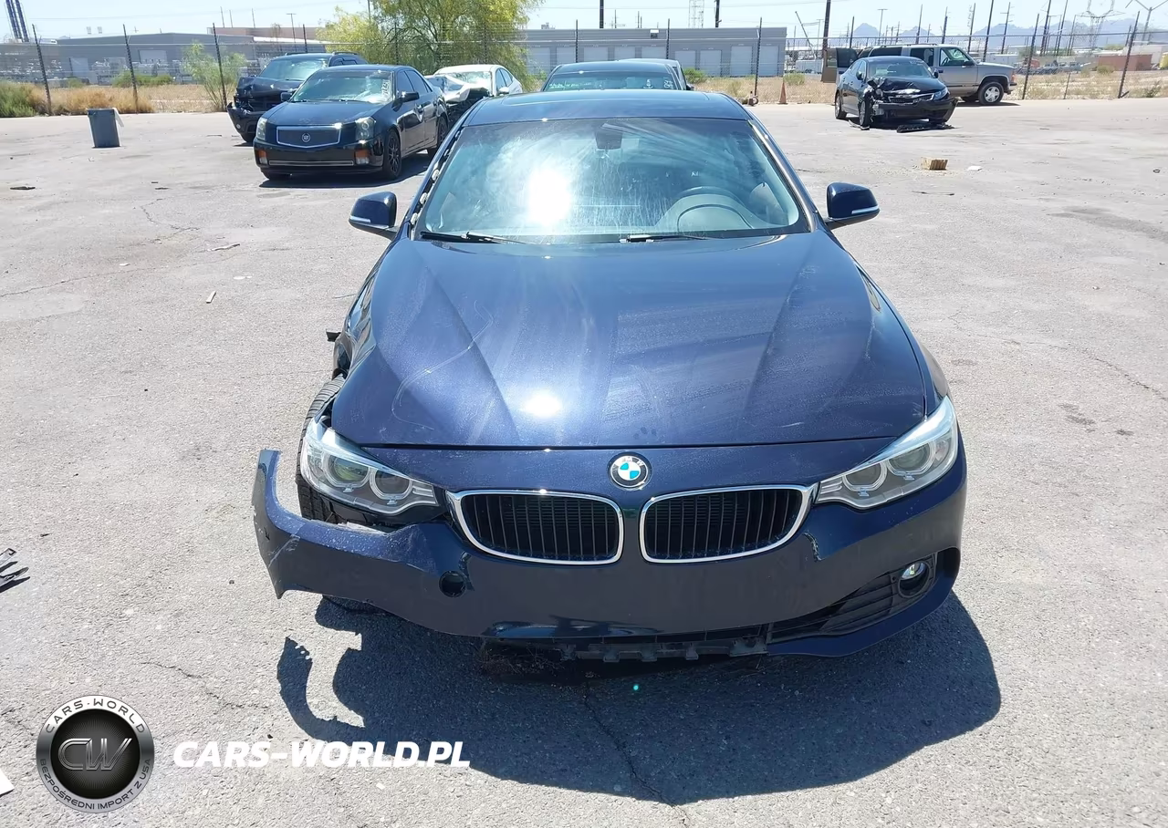 2015 BMW 428I VIN:WBA3N7C57FK222477 - 12