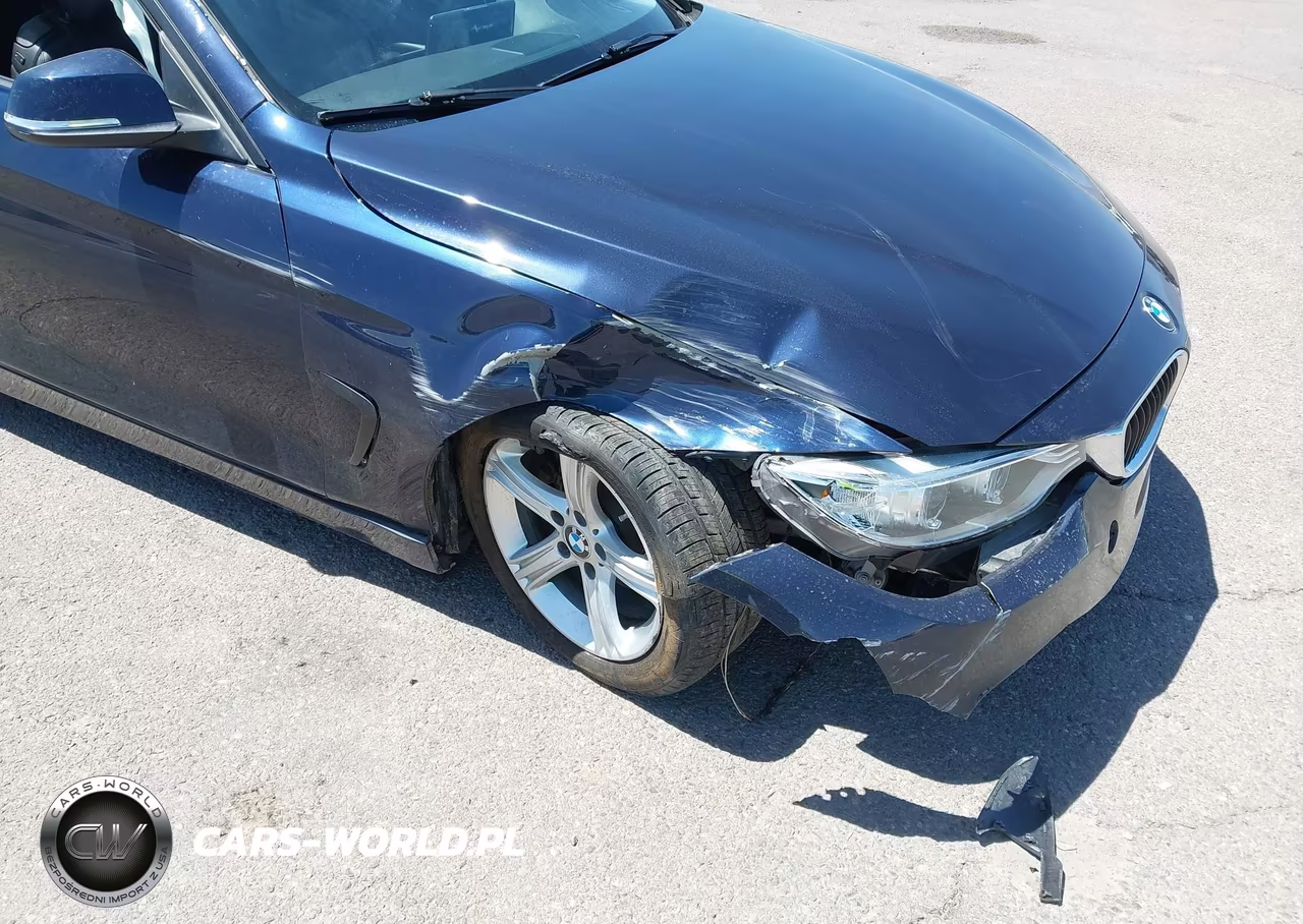 2015 BMW 428I VIN:WBA3N7C57FK222477 - 6