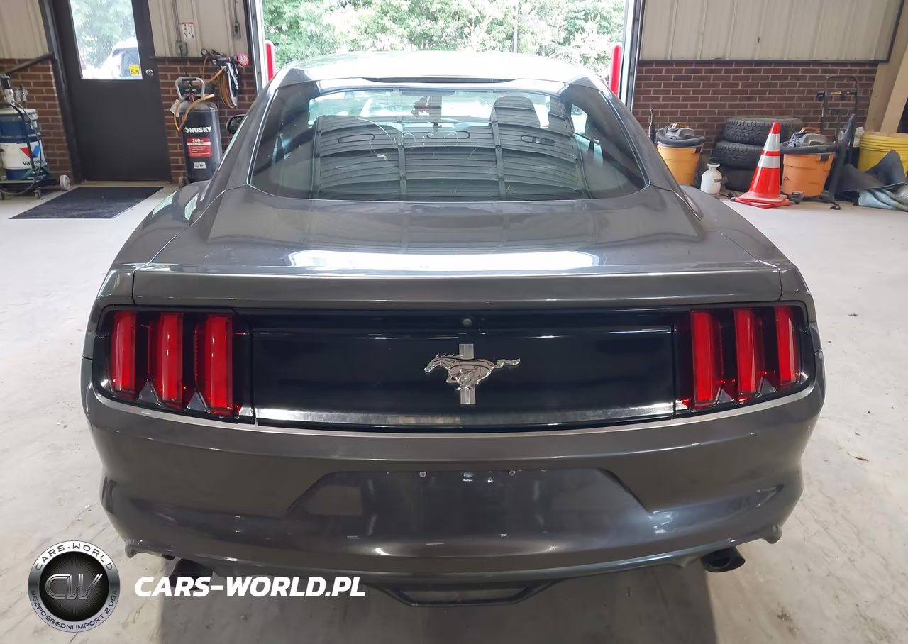 2017 Ford Mustang V6 VIN:1FA6P8AM7H5301231 - 17