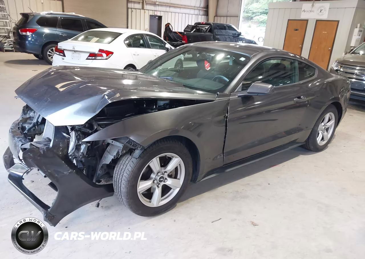 2017 Ford Mustang V6 VIN:1FA6P8AM7H5301231 - 2