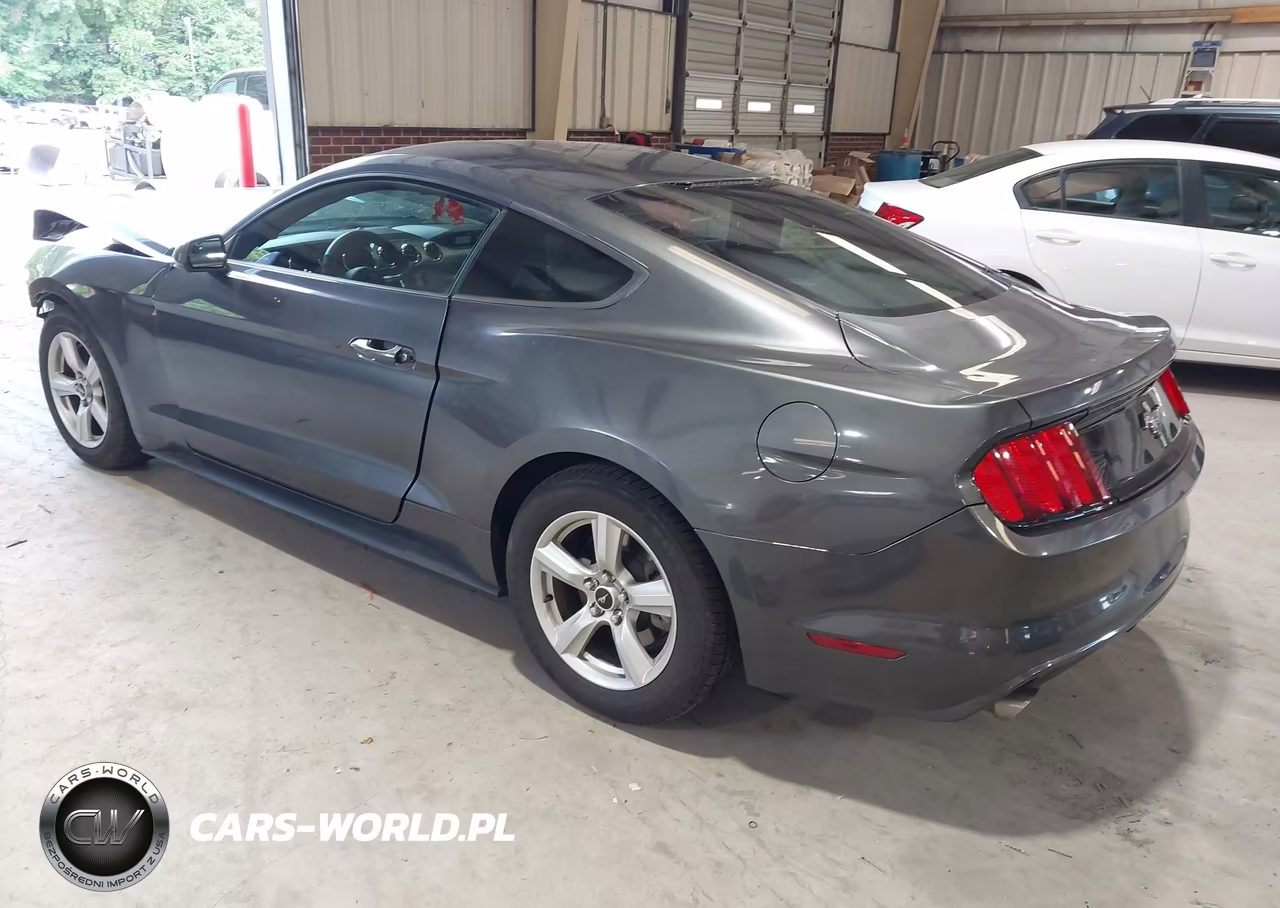 2017 Ford Mustang V6 VIN:1FA6P8AM7H5301231 - 3