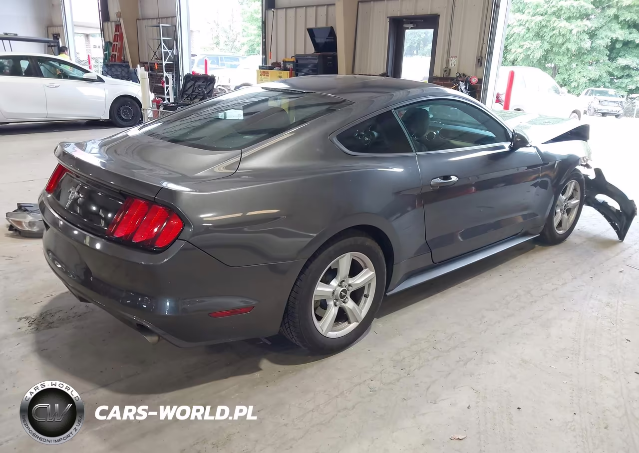 2017 Ford Mustang V6 VIN:1FA6P8AM7H5301231 - 4