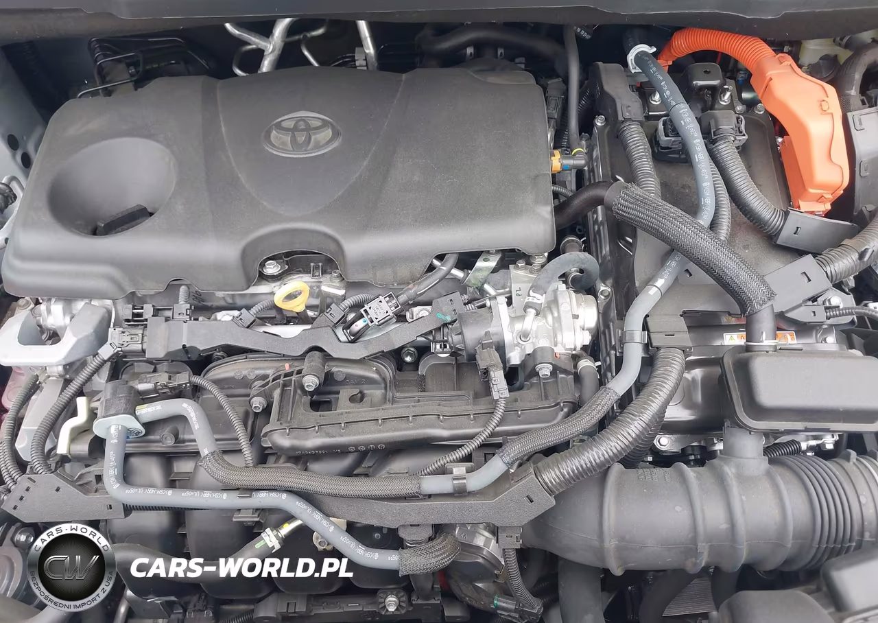 2025 Toyota Sienna Xse VIN:5TDCSKFC3SS167828 - 10