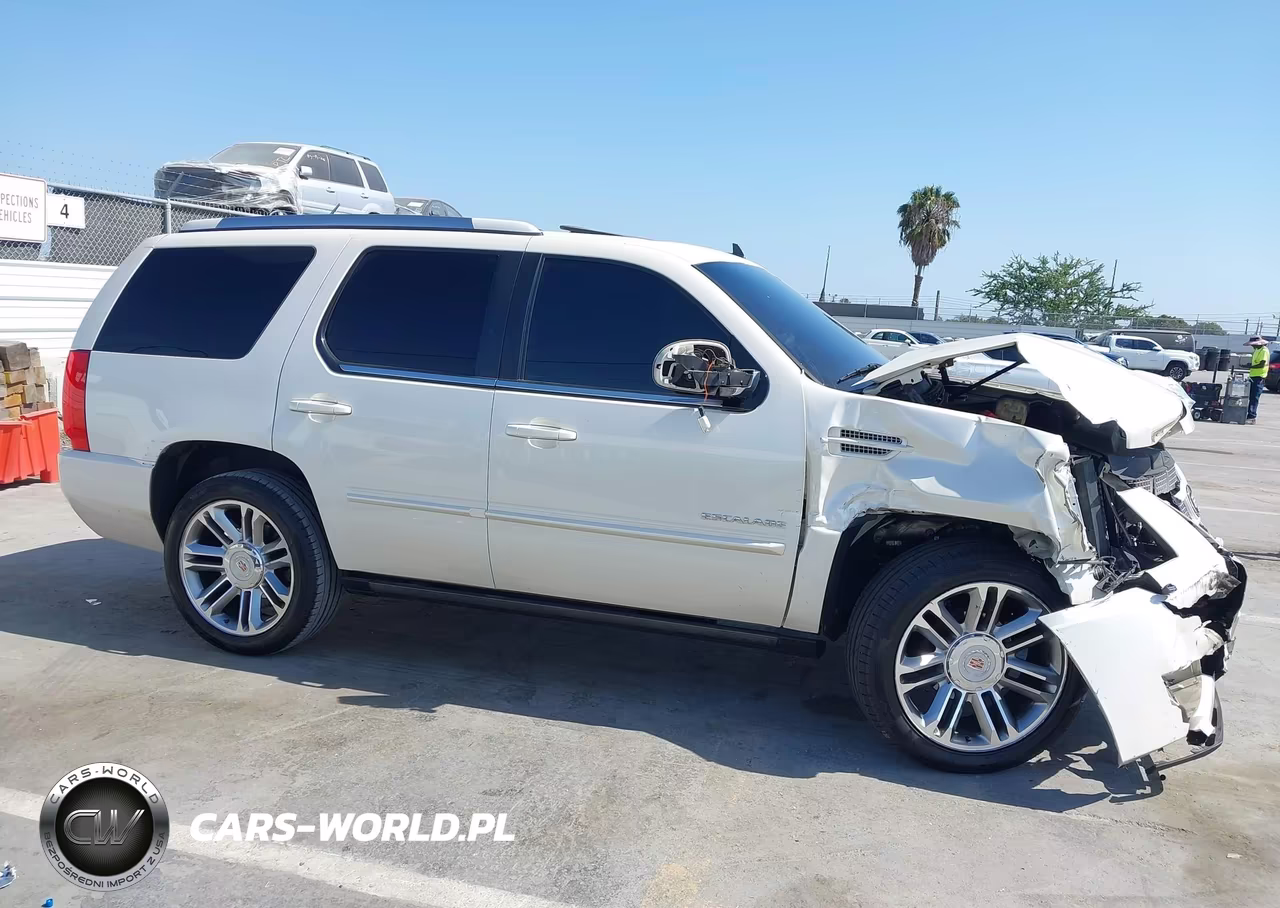 2014 Cadillac Escalade Premium VIN:1GYS3CEFXER166246 - 13