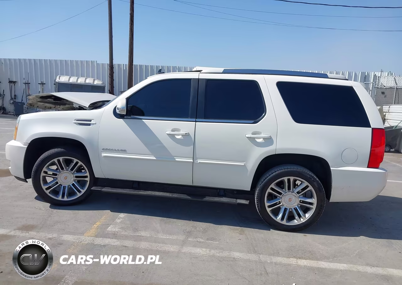 2014 Cadillac Escalade Premium VIN:1GYS3CEFXER166246 - 14