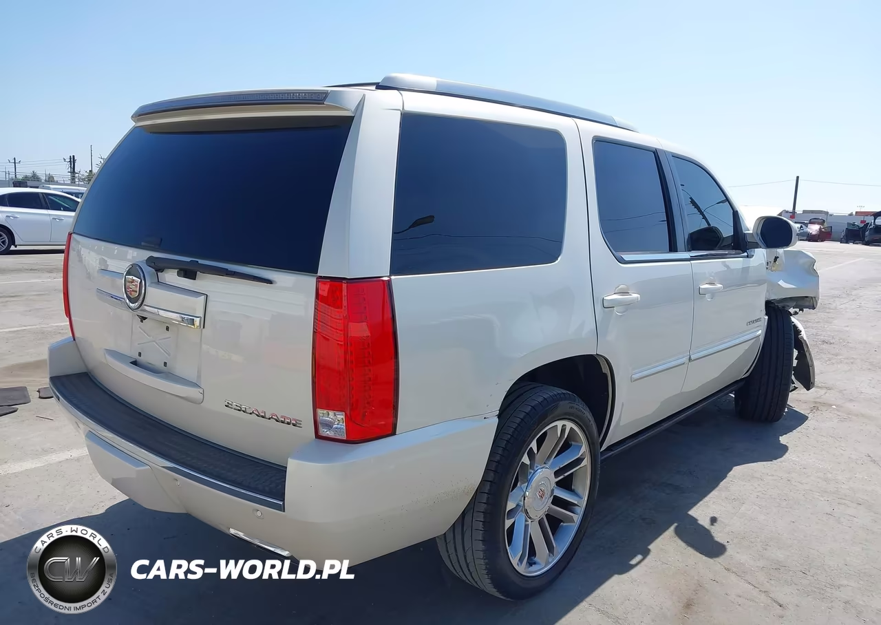 2014 Cadillac Escalade Premium VIN:1GYS3CEFXER166246 - 4