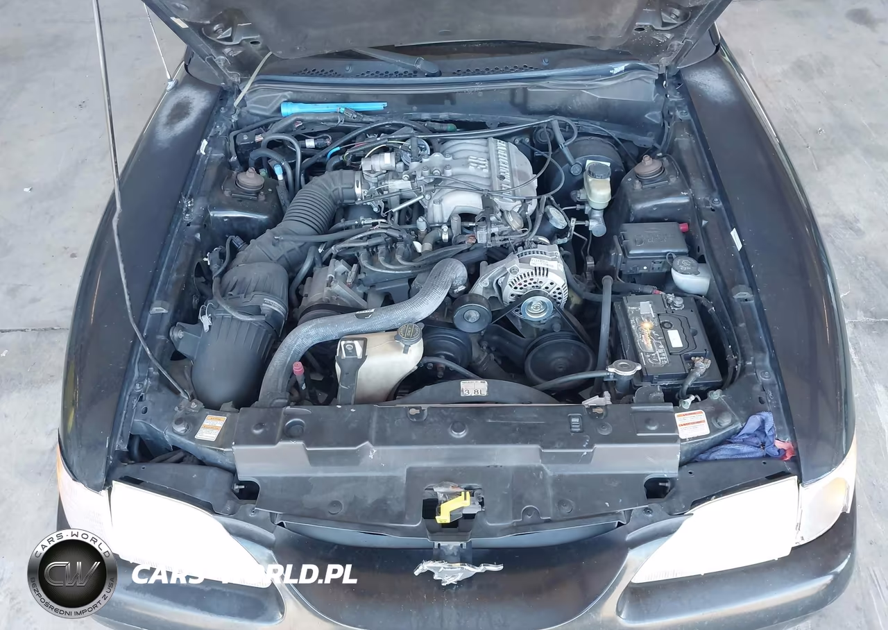 1998 Ford Mustang VIN:1FAFP4040WF213638 - 10