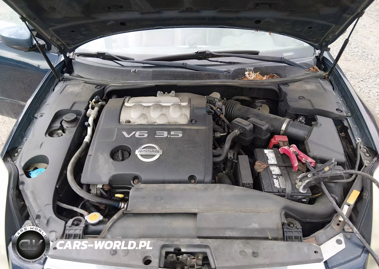2005 Nissan Maxima 3.5 Se VIN:1N4BA41E85C817221 - 10