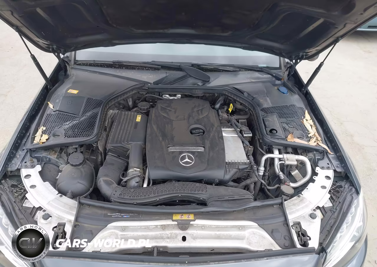 2016 Mercedes-Benz C 300 Sport 4Matic VIN:55SWF4KBXGU111549 - 10