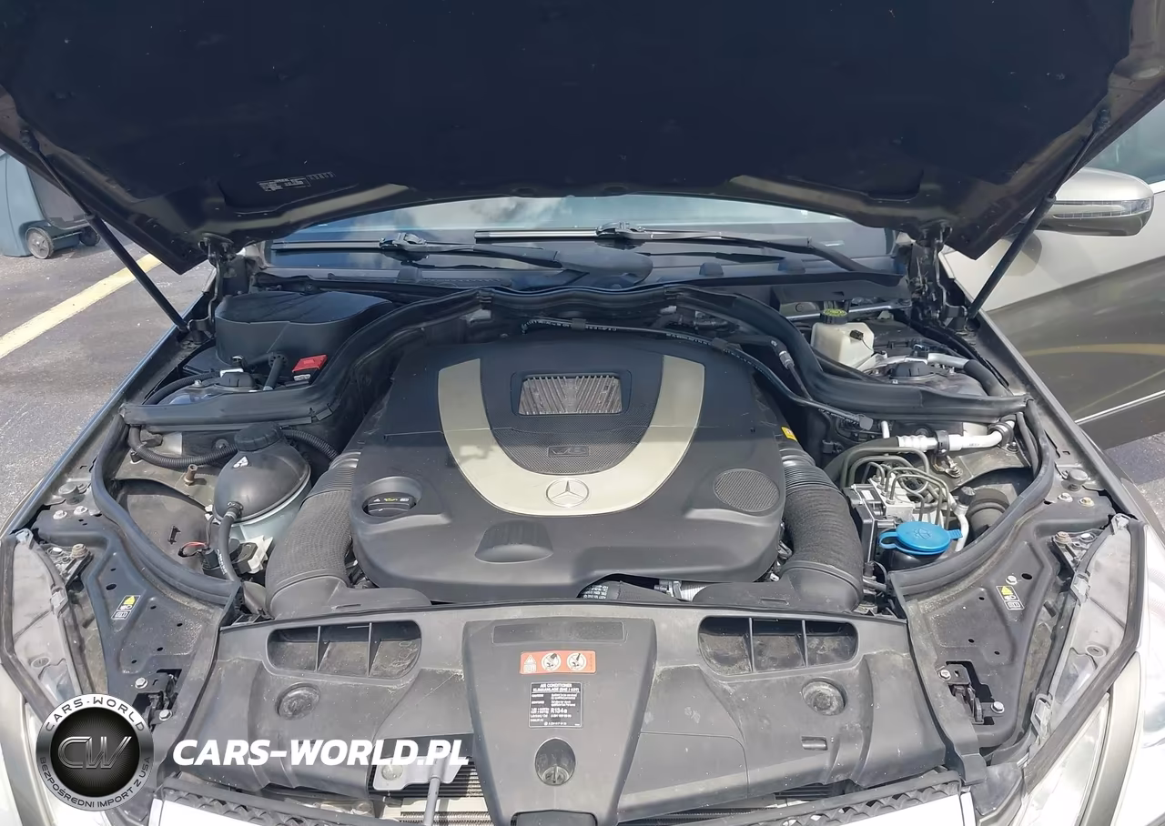 2010 Mercedes-Benz E 550 VIN:WDDKJ7CB8AF005642 - 10
