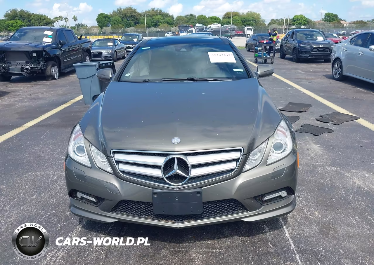 2010 Mercedes-Benz E 550 VIN:WDDKJ7CB8AF005642 - 12