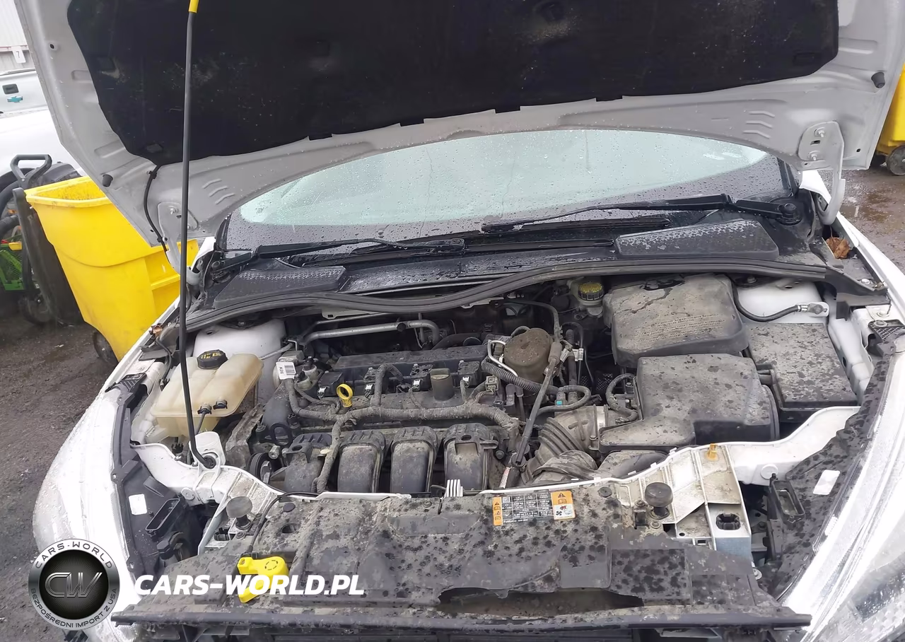 2015 Ford Focus Se VIN:1FADP3F22FL221894 - 10