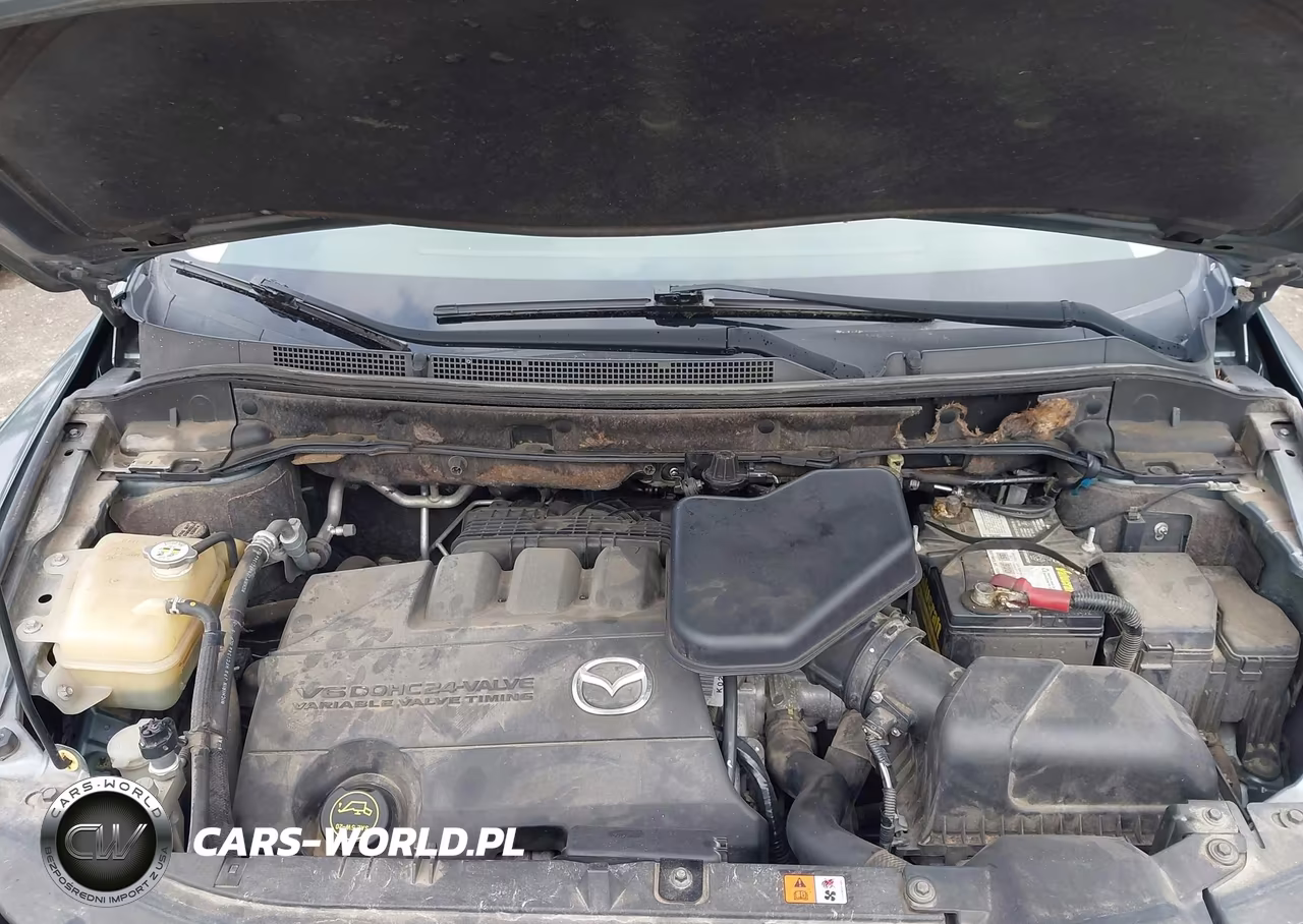 2010 Mazda Cx-9 Grand Touring VIN:JM3TB3MV4A0226033 - 10
