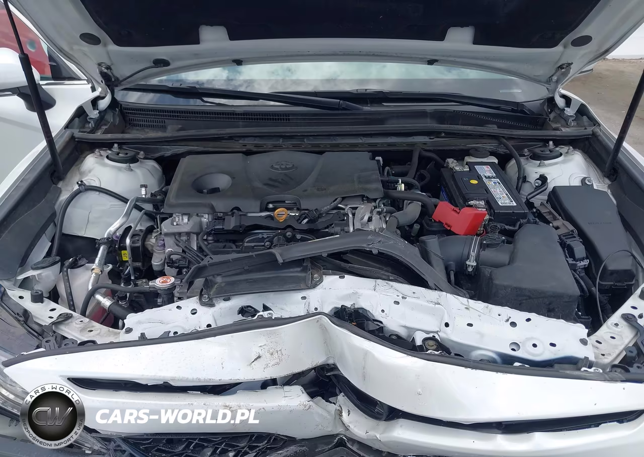 2019 Toyota Camry Xse VIN:4T1B61HK2KU715260 - 10