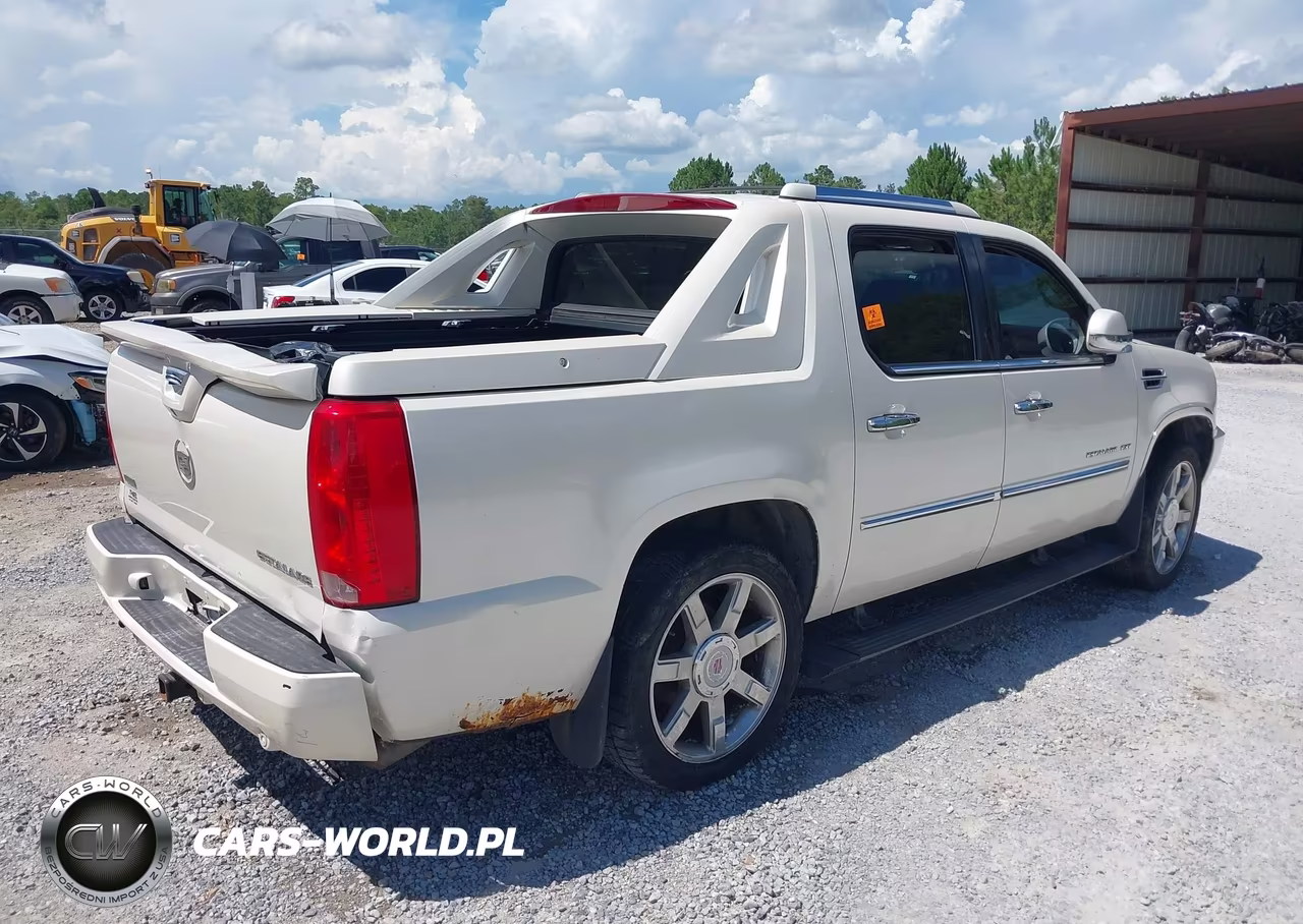 2010 Cadillac Escalade Ext Premium VIN:3GYVKNEF3AG278697 - 4