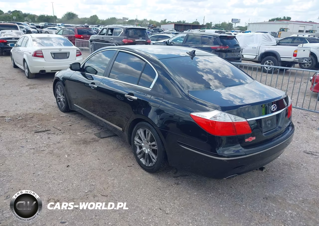2009 Hyundai Genesis 4.6 VIN:KMHGC46F69U050637 - 3