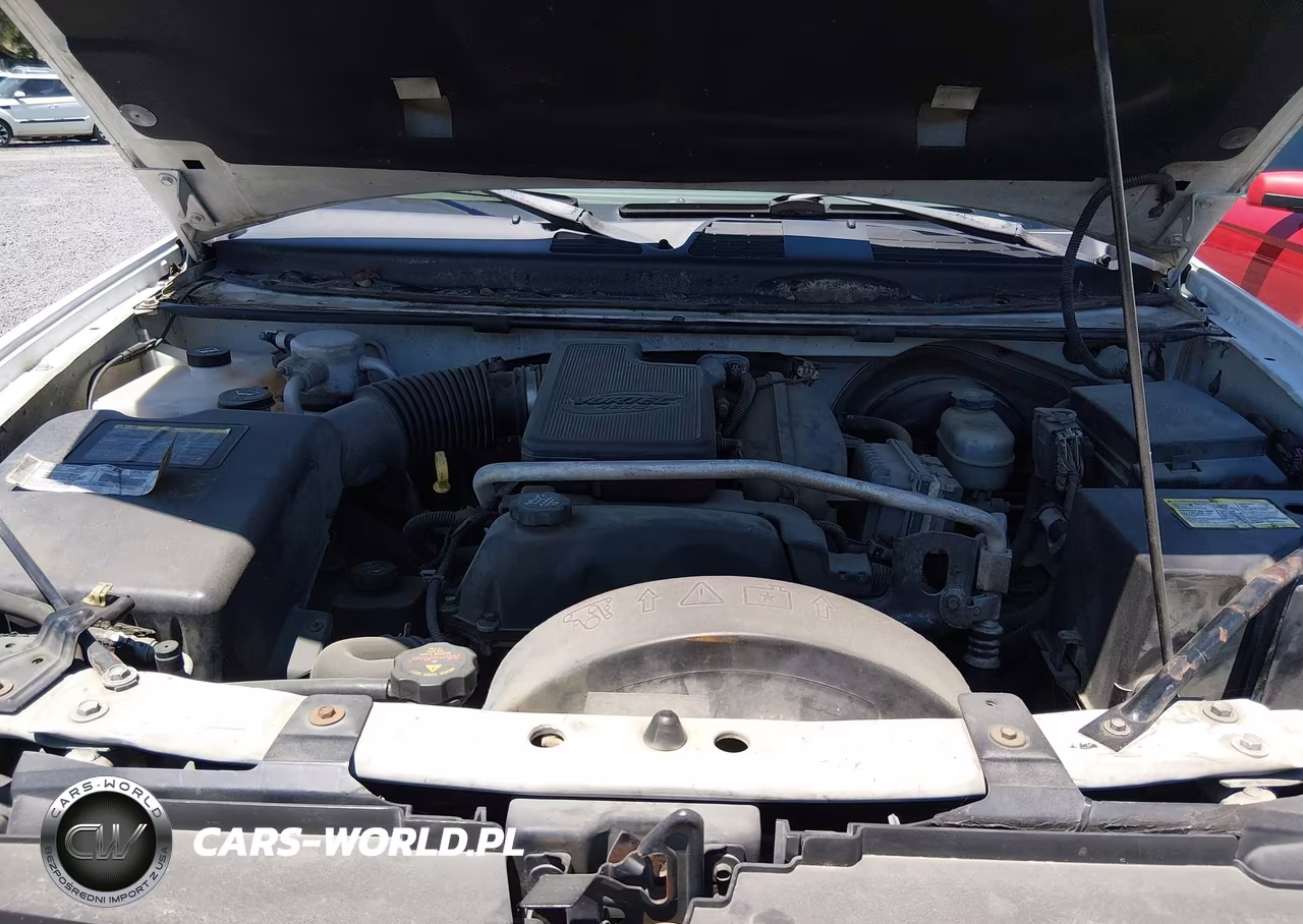 2003 Chevrolet Trailblazer Ext Ls VIN:1GNES16S336246256 - 10