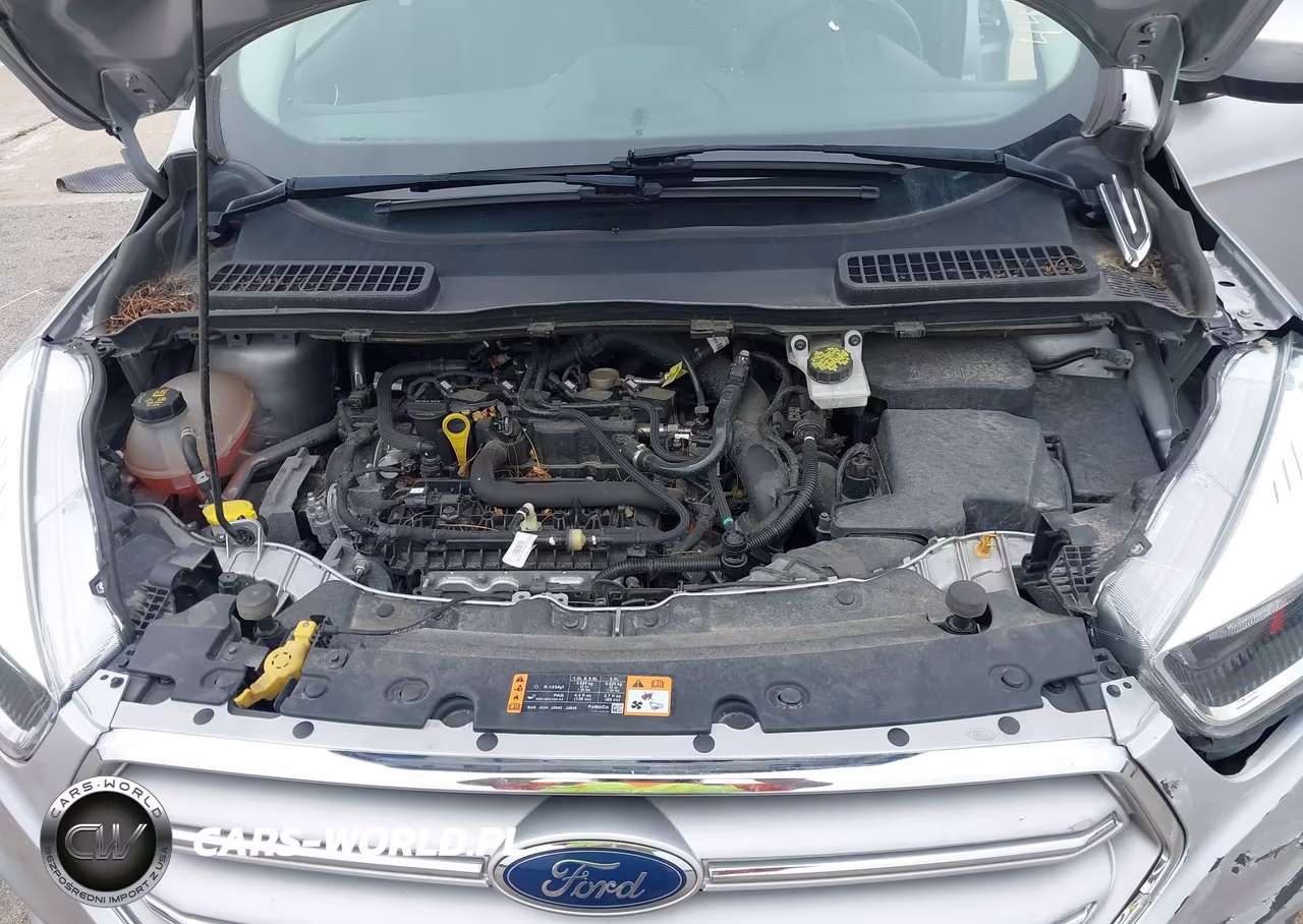 2019 Ford Escape Se VIN:1FMCU0GD0KUC23611 - 10