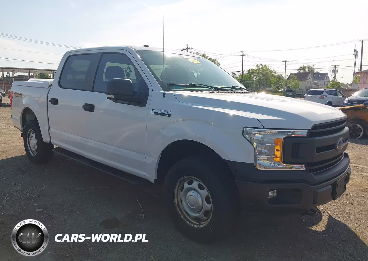 2019 Ford F-150 Xl – zdjęcie 1 z 16