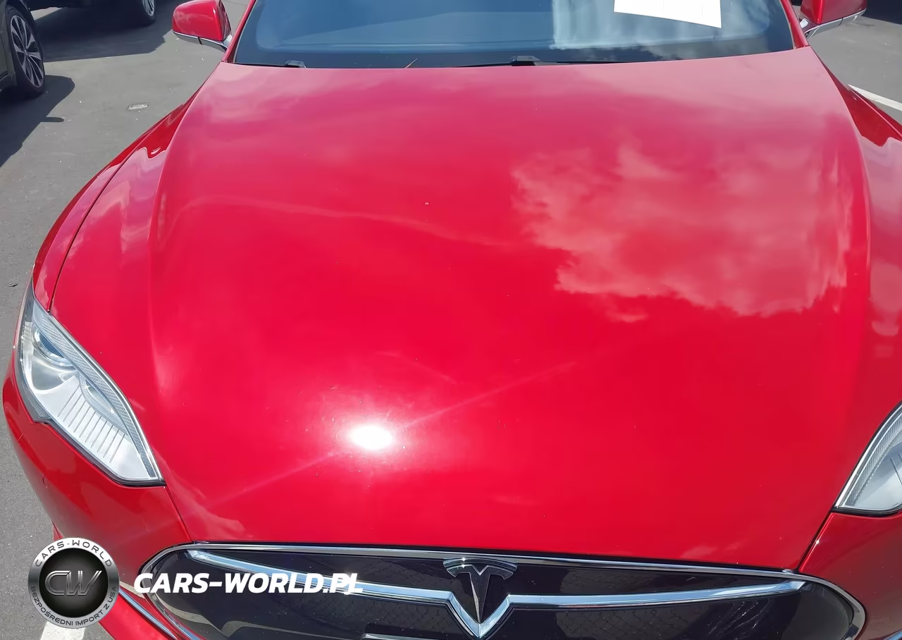 2016 Tesla Model S 90D-P100D-P85D-P90D VIN:5YJSA1E48GF123659 - 10