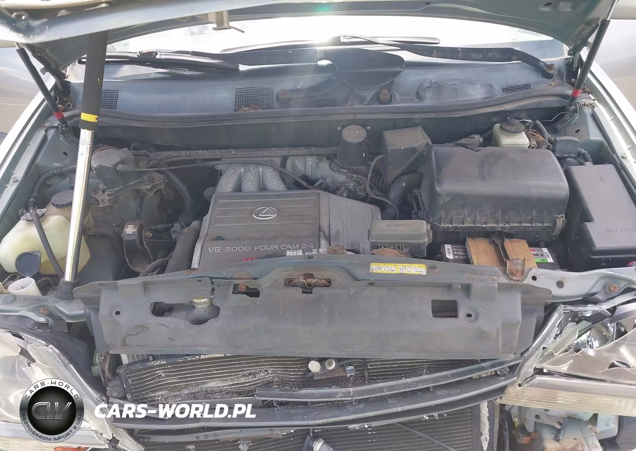 2000 Lexus Rx 300 VIN:JT6GF10U6Y0045372 - 10