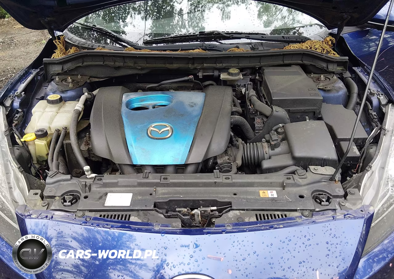 2013 Mazda Mazda3 I Touring VIN:JM1BL1L73D1722691 - 10