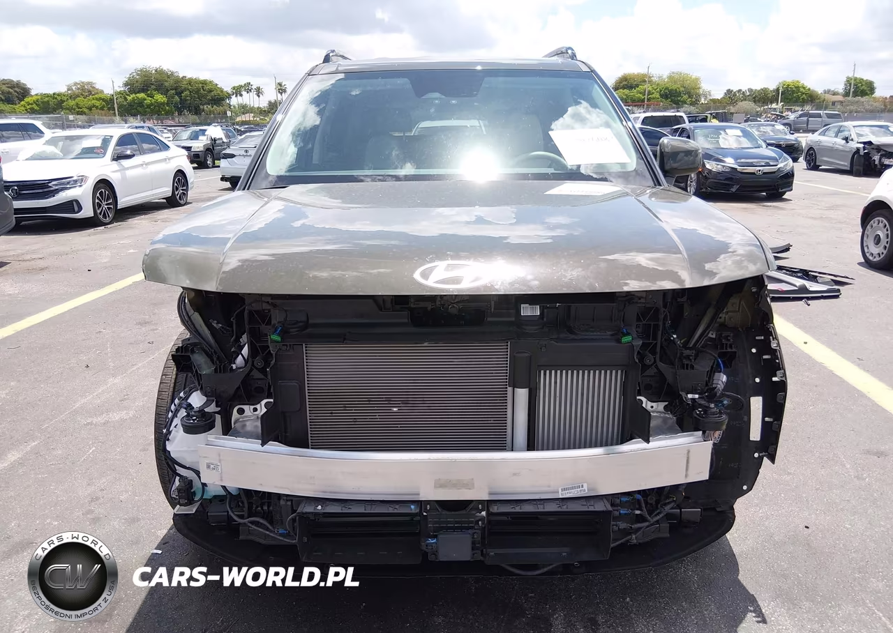 2025 Hyundai Santa Fe Sel VIN:5NMP24GL5SH093648 - 13