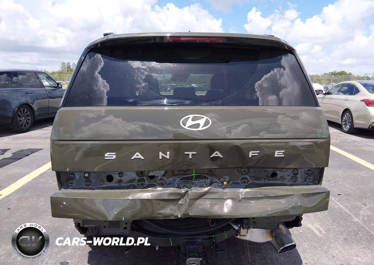 2025 Hyundai Santa Fe Sel VIN:5NMP24GL5SH093648 - 17