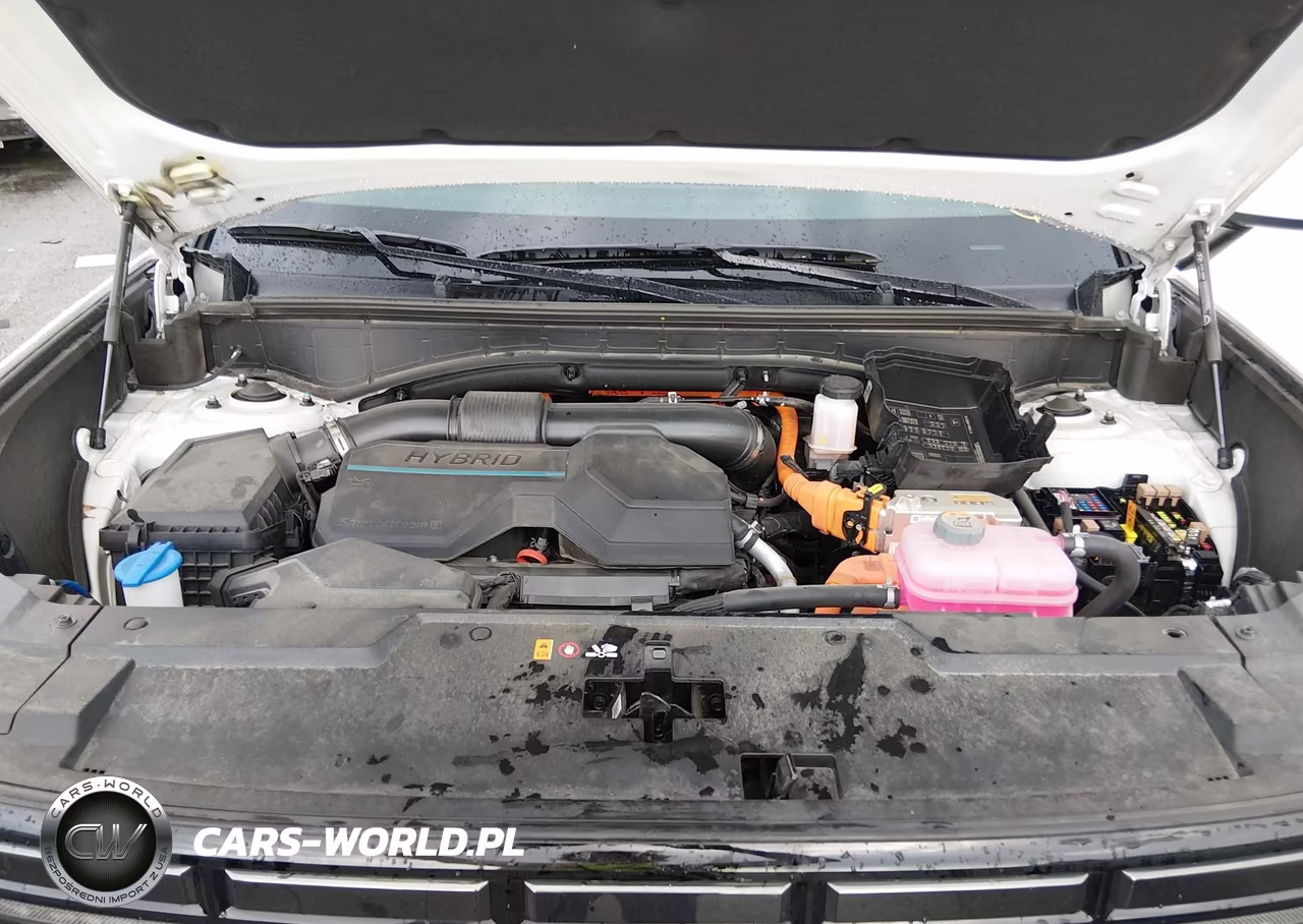 2025 Hyundai Santa Fe Hybrid Limited VIN:5NMP3DG13SH032164 - 10