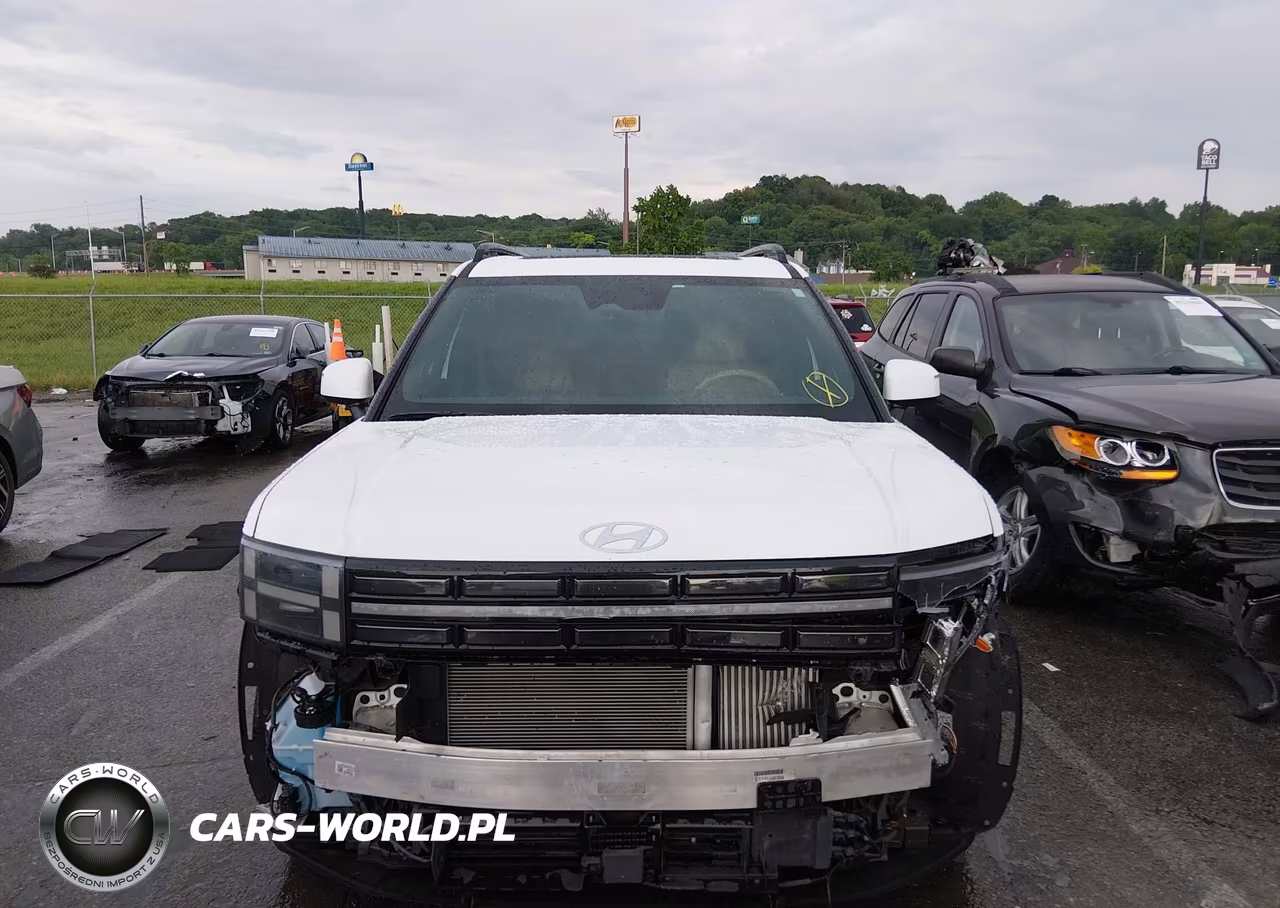 2025 Hyundai Santa Fe Hybrid Limited VIN:5NMP3DG13SH032164 - 13