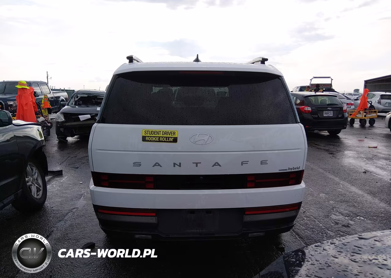2025 Hyundai Santa Fe Hybrid Limited VIN:5NMP3DG13SH032164 - 17