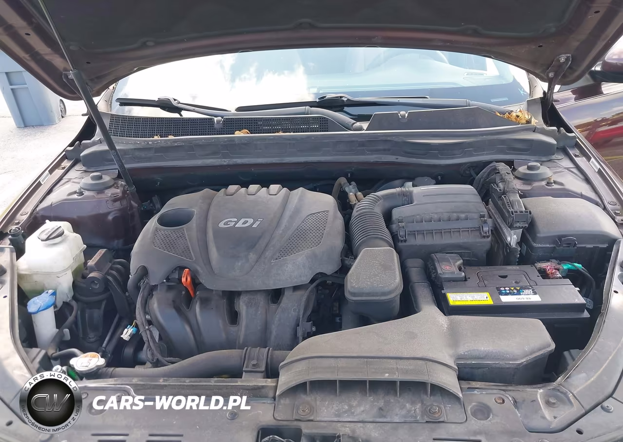 2014 Kia Optima Ex VIN:5XXGN4A70EG324476 - 10