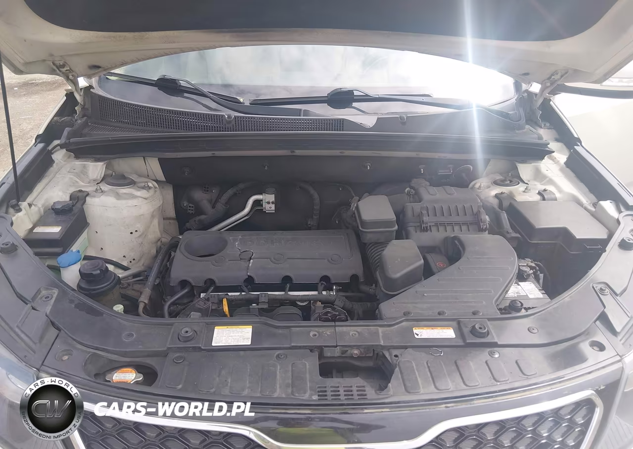 2011 Kia Sorento Lx VIN:5XYKTCA13BG009975 - 10
