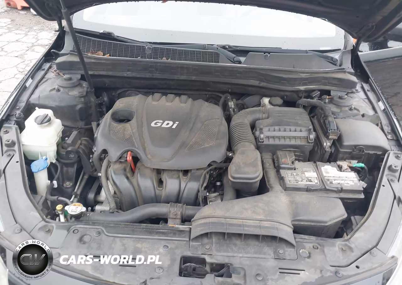 2014 Kia Optima Lx VIN:5XXGM4A75EG282387 - 10
