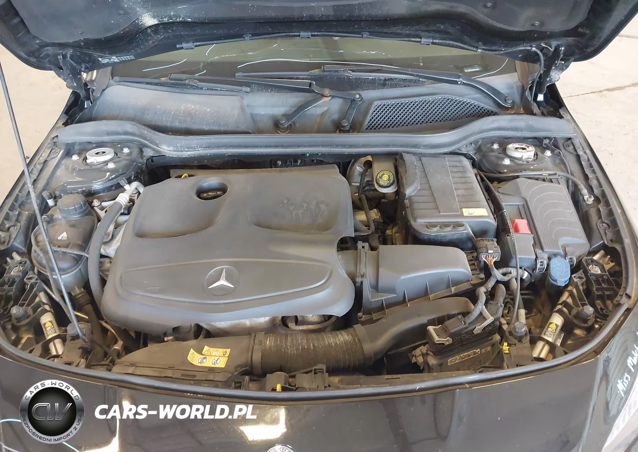 2014 Mercedes-Benz Cla 250 VIN:WDDSJ4EB6EN038890 - 10