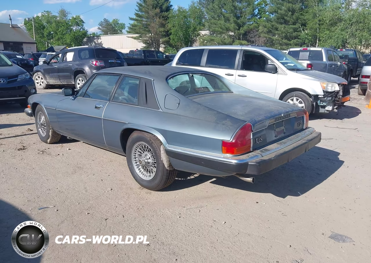 1986 Jaguar Xjs VIN:SAJNV5841GC132514 - 3