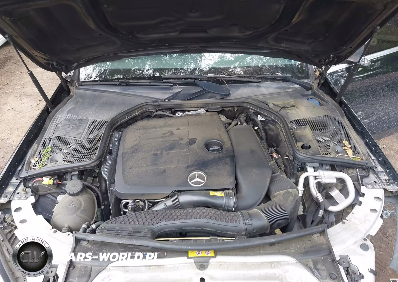 2019 Mercedes-Benz C 300 VIN:55SWF8DBXKU316091 - 10