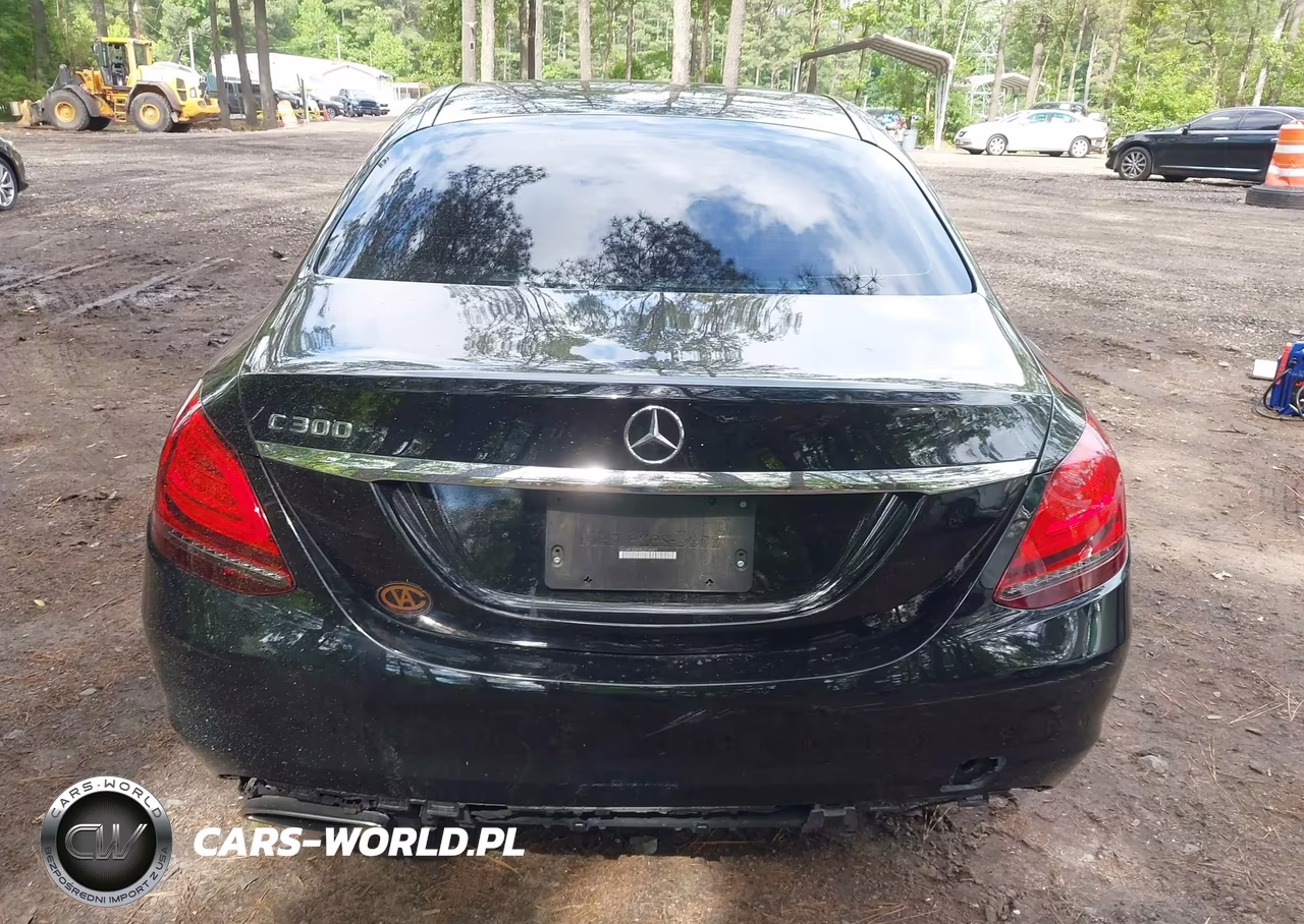2019 Mercedes-Benz C 300 VIN:55SWF8DBXKU316091 - 16