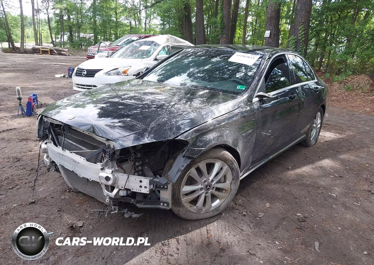 2019 Mercedes-Benz C 300 VIN:55SWF8DBXKU316091 - 2