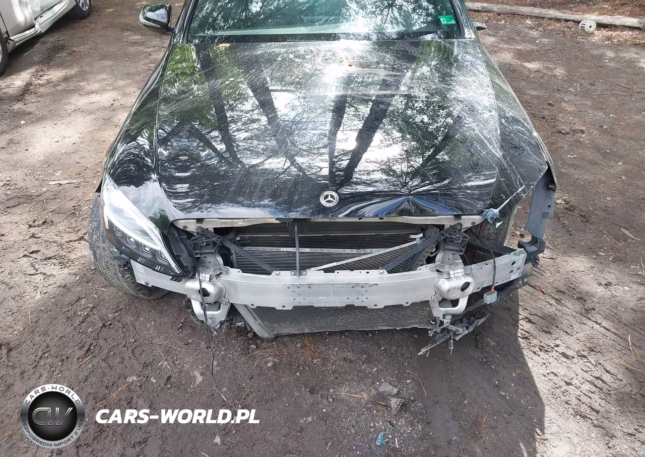 2019 Mercedes-Benz C 300 VIN:55SWF8DBXKU316091 - 6