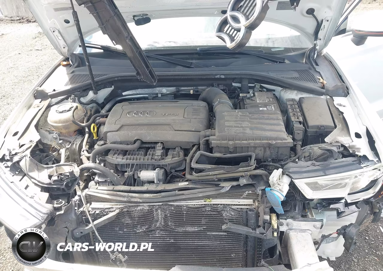 2019 Audi A3 45 Premium VIN:WAUBEGFF1K1017317 - 10