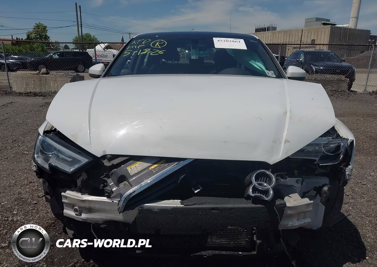 2019 Audi A3 45 Premium VIN:WAUBEGFF1K1017317 - 12